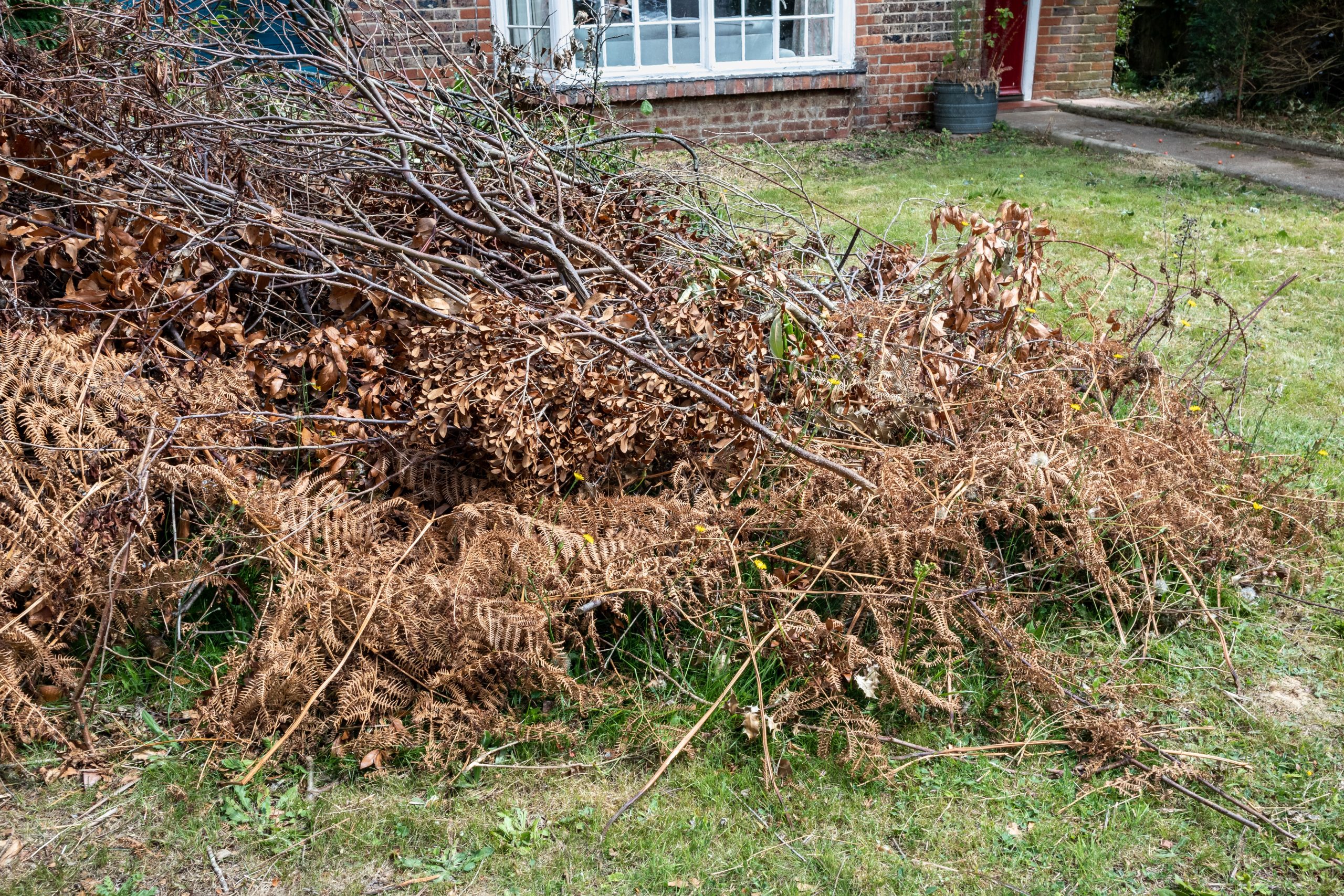 Garden Green Waste Removal Bickley BR1